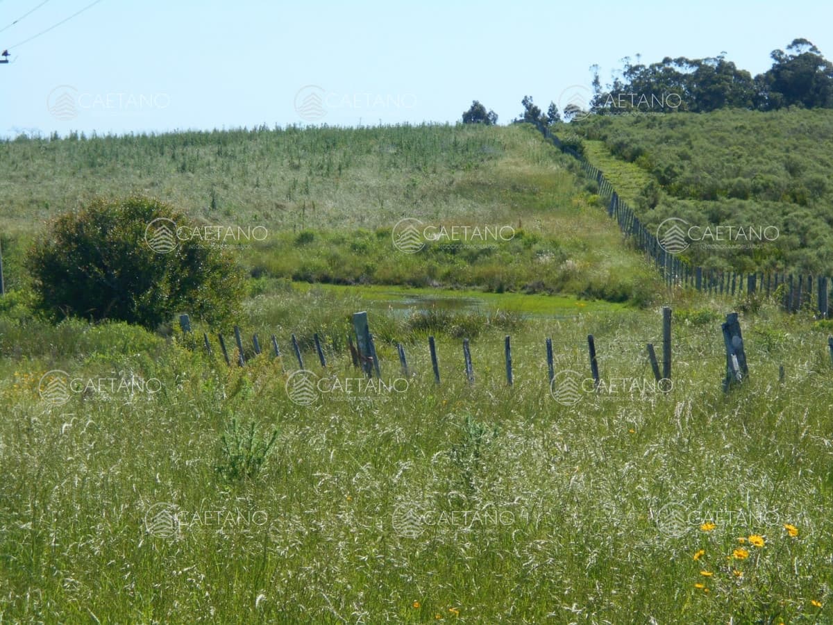 Chacras de 5 hás. - Ruta 39 San Carlos