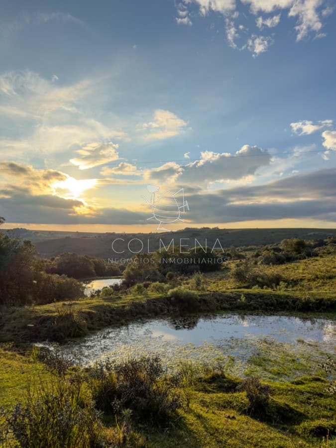 Chacra de 7 hás con increíble vista panorámica