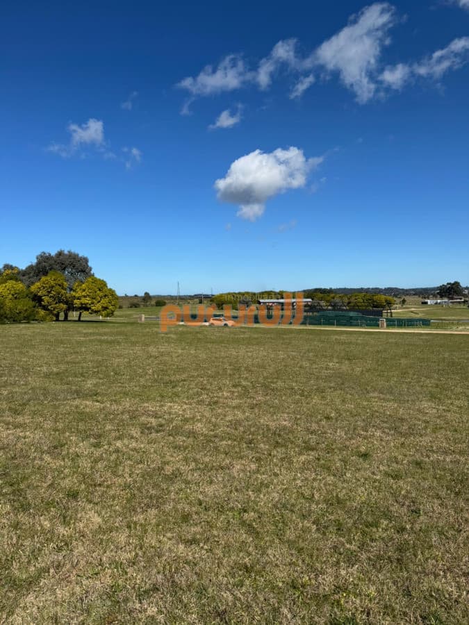 Lote en venta en El Quijote