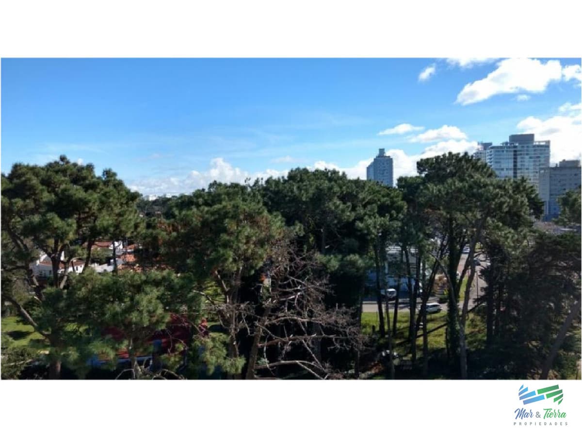 Venta y Alquiler en Punta del Este