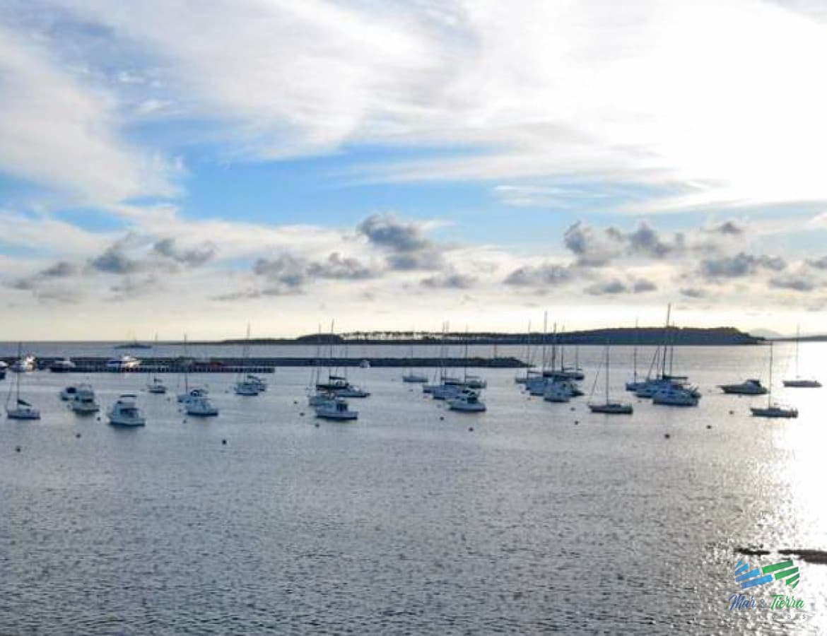 Vendo apartamento 4 dormitorios frente al puerto, con la mejor vista, Peninsula, Punta del Este.