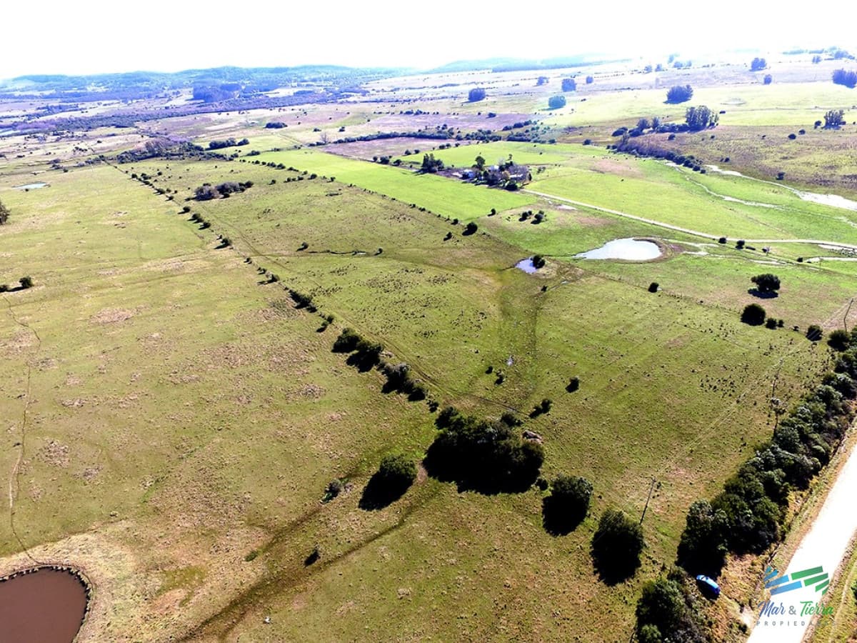 Chacra con arroyo y monte nativo a 10 minutos de San Carlos y 25 de Punta