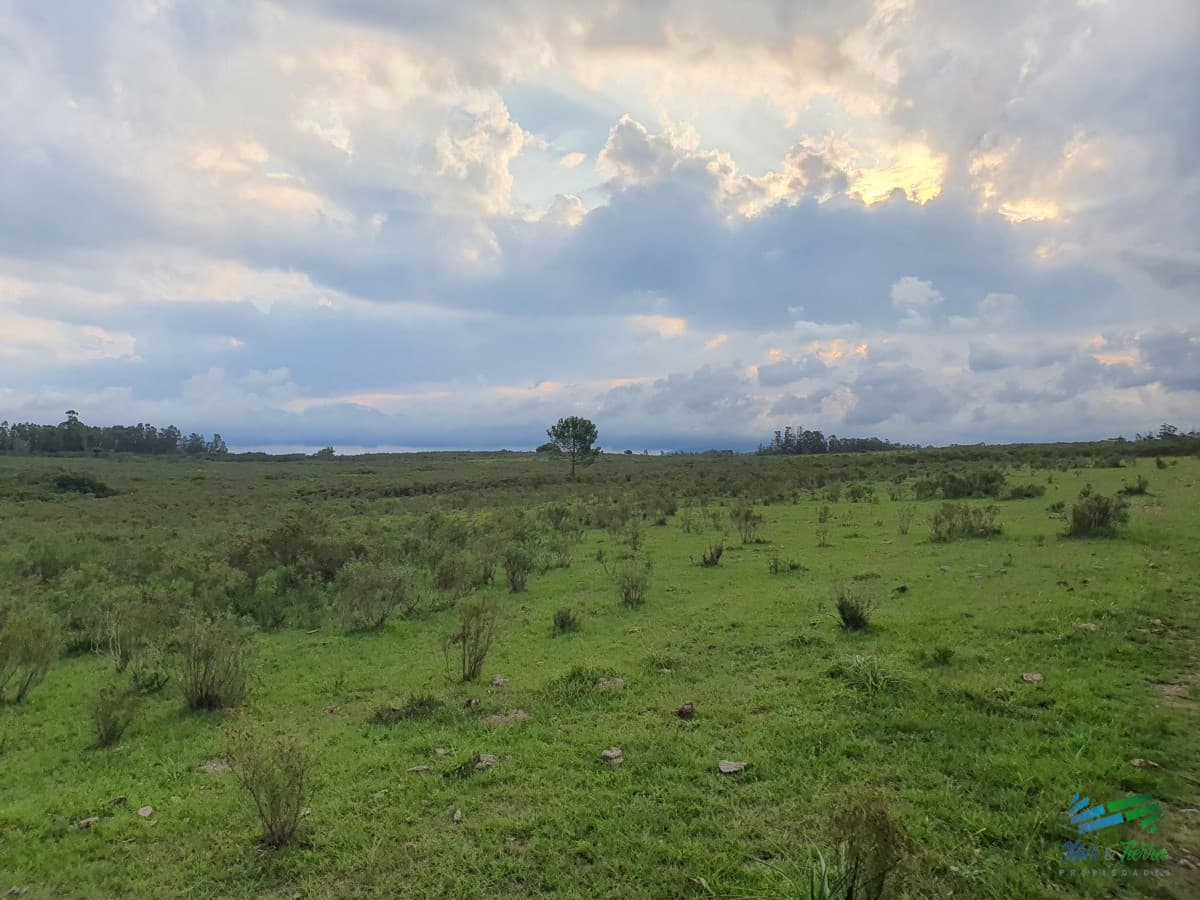 Vendo chacra 6 hectareas en ruta 9, cerca de Pan de Azúcar, Maldonado. A 45´ de Punta del Este. Financia.