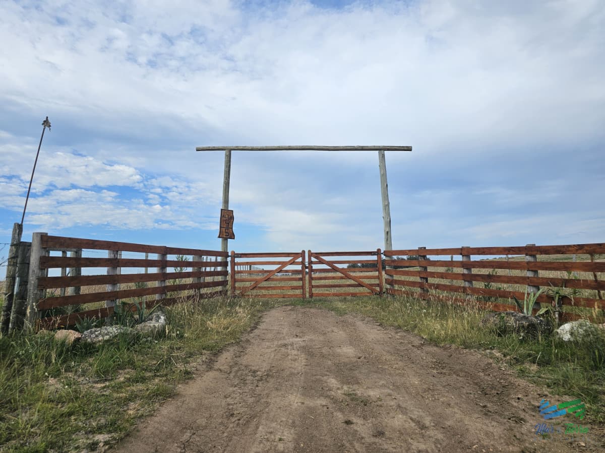 En venta chacra 3 hectareas, proxima ruta 39, a pocos km de San Carlos.