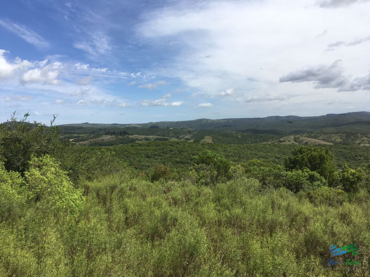 Chacras con vistas increibles, monte nativo, naturaleza y tranquilidad