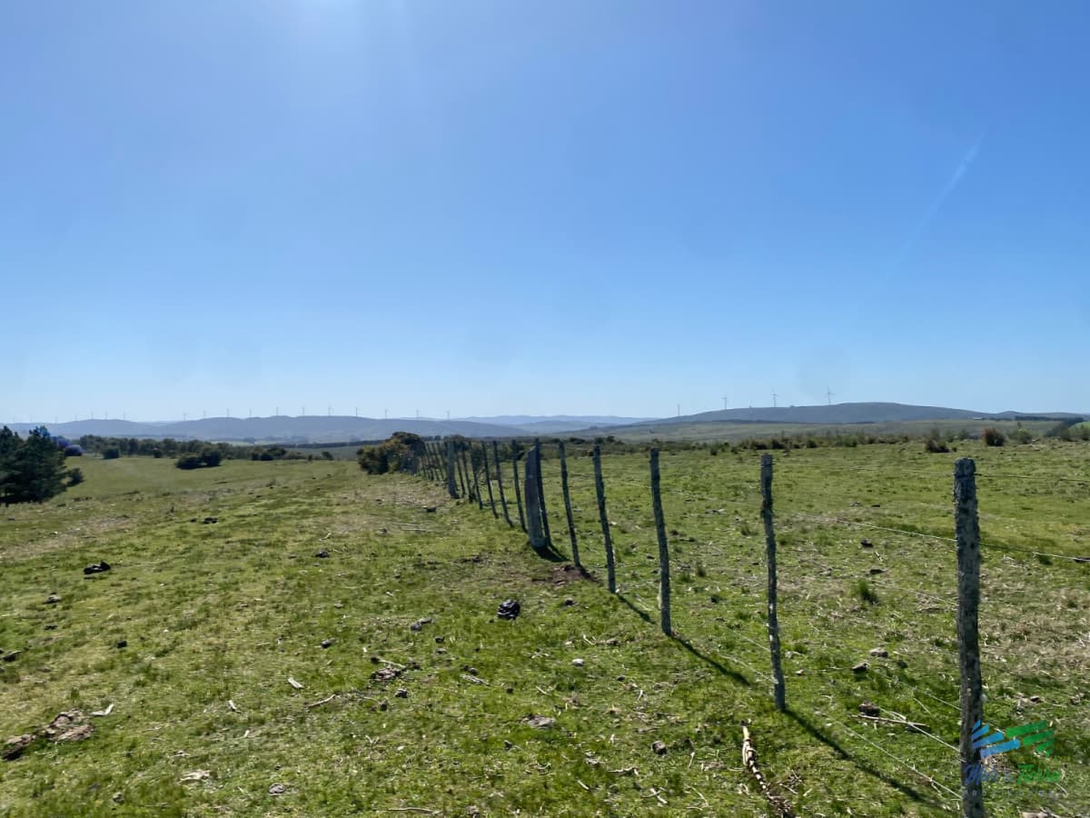 Chacras con vistas Únicas, Olivos, Sierras y descanso... !! Atención Precio Rebajado !!