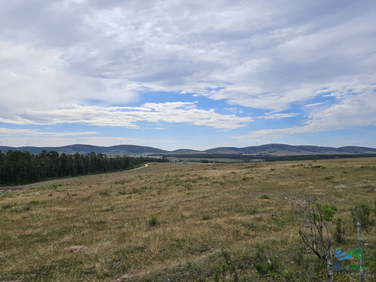 En venta chacra 3,5 hectareas, proxima ruta 39, a pocos km de San Carlos.