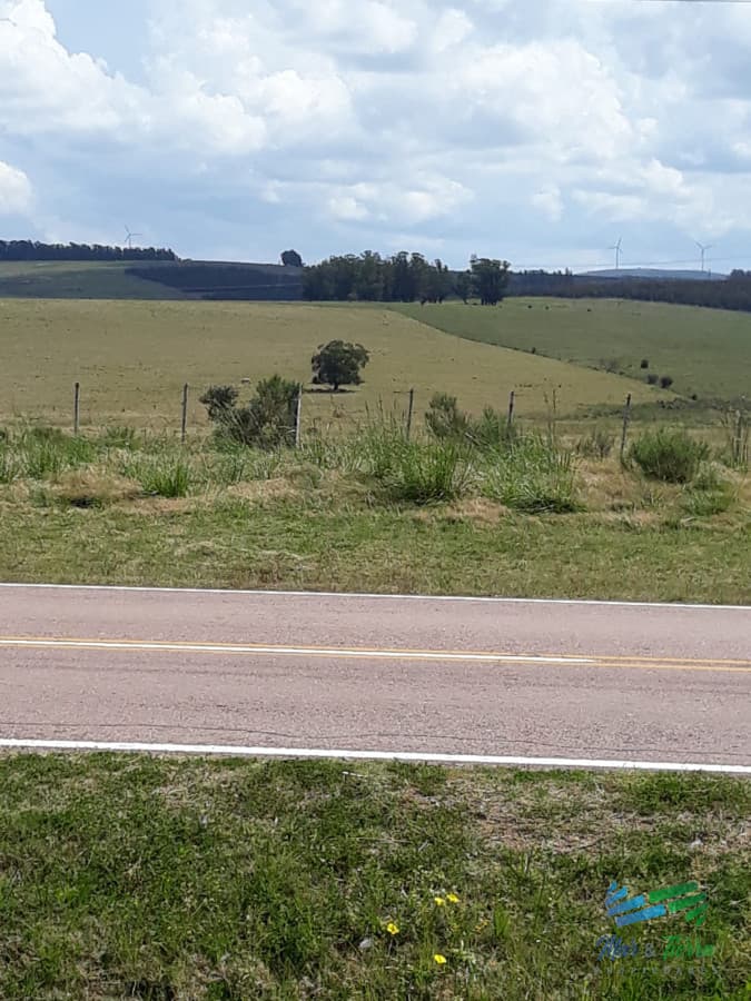 18 Has R.39 a 30 Kms de Punta y pocos minutos de R.9