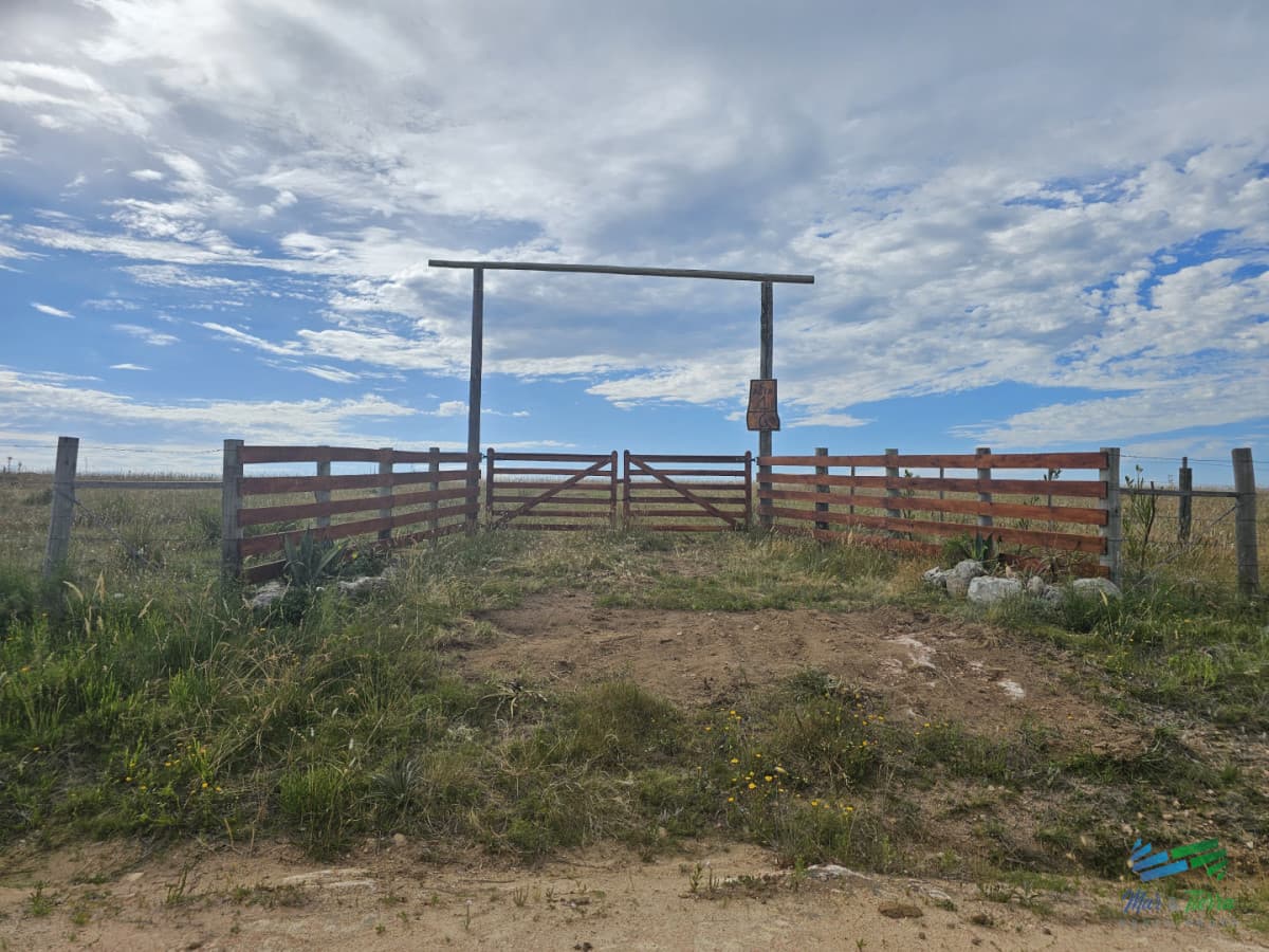 En venta chacra 3 hectareas, proxima ruta 39, a pocos km de San Carlos.