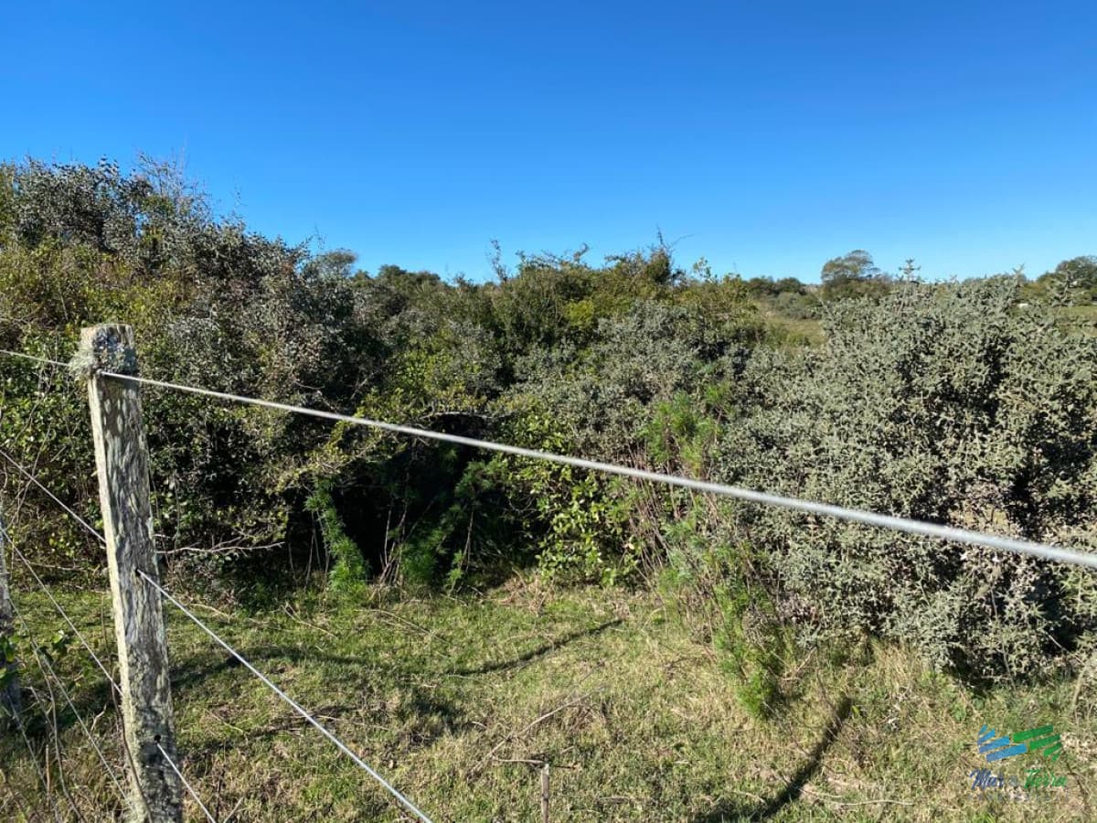 En venta, chacra con vistas panorámicas y monte nativo !!!