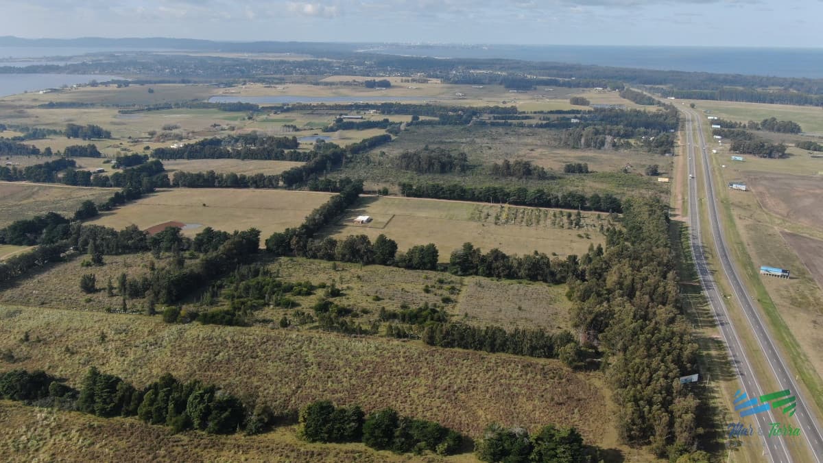 Única chacra con producción de arándanos en laguna del sauce