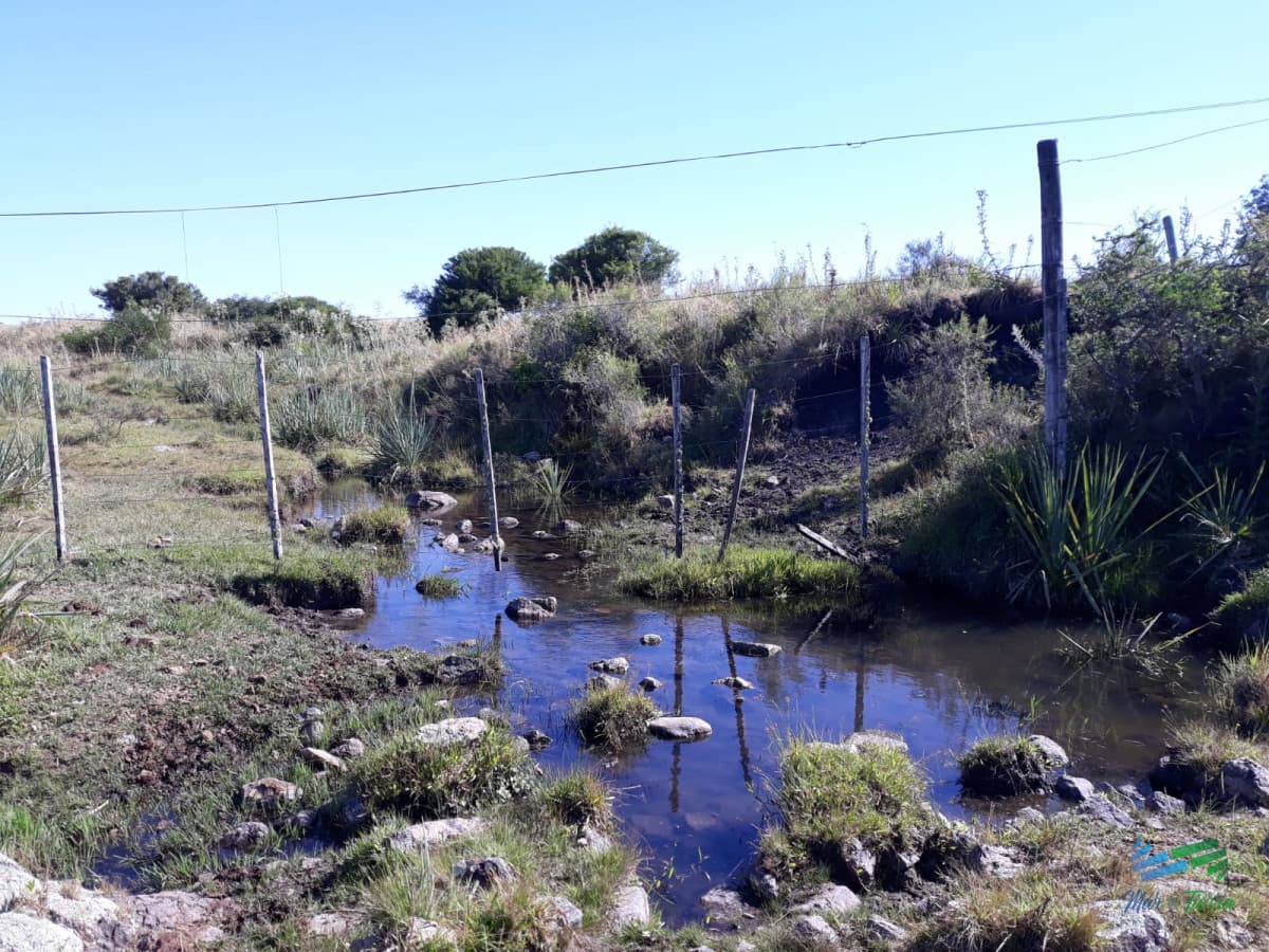 18 Has R.39 a 30 Kms de Punta y pocos minutos de R.9
