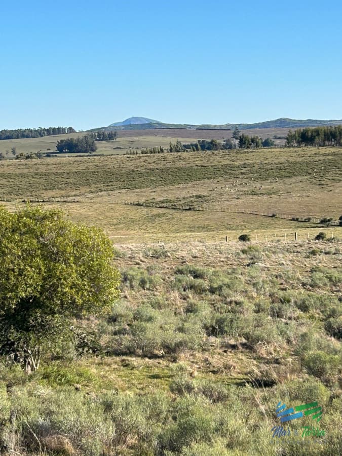 15 Has con todo lo que buscas, vistas increíbles, cañada, tajamar, monte nativo y a tan solo 30 minutos de Punta ! Financia...