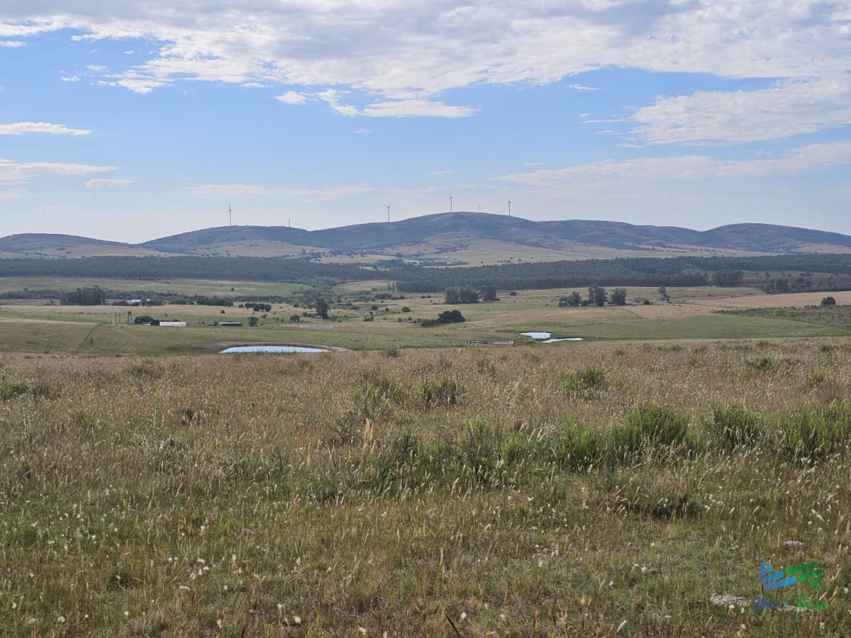 En venta chacra 3 hectareas, proxima ruta 39, a pocos km de San Carlos.