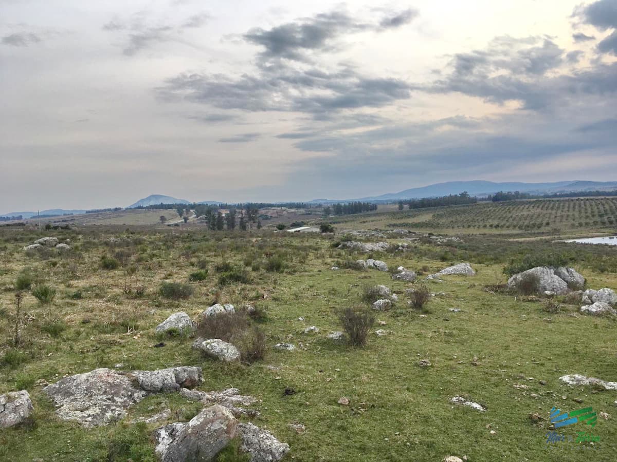Vendo chacras en Ruta 9, entre ruta 12 y Pan de Azucar, Maldonado. FINANCIO.