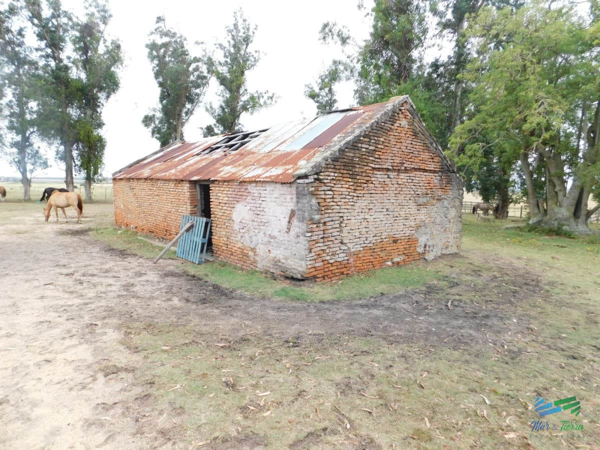 31 Has con casa R.9 (frente entrada Garzon)