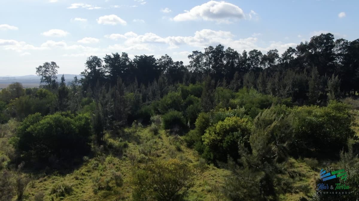 Única chacra con producción de arándanos en laguna del sauce