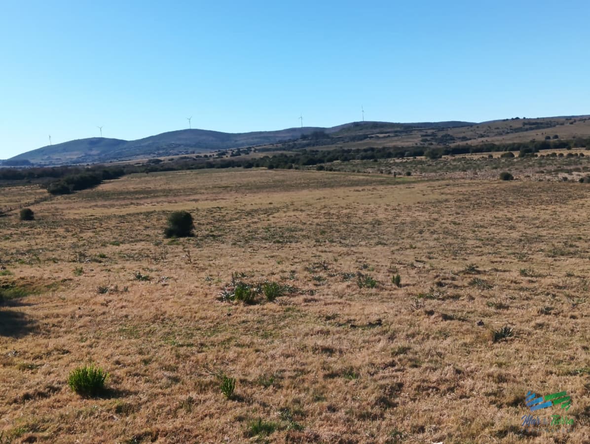 Simpatica cabaña en 11 Has con costa de arroyo Mataojo a tan solo 30 minutos de Punta