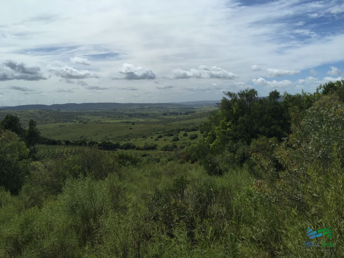 Chacras con vistas increibles, monte nativo, naturaleza y tranquilidad