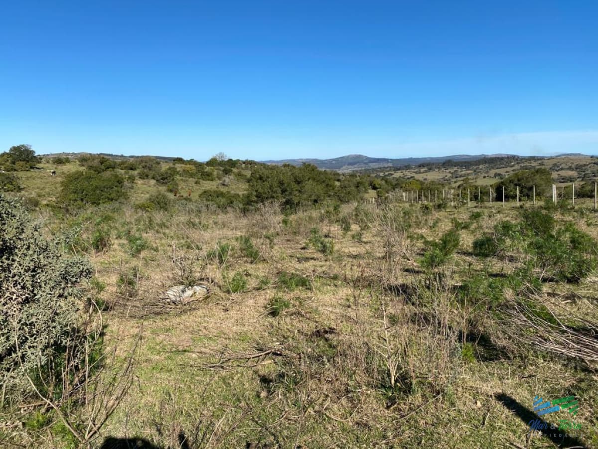 En venta, chacra con vistas panorámicas y monte nativo !!!