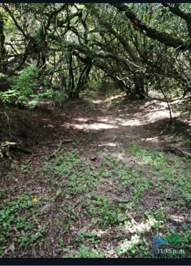 Chacra con arroyo y monte nativo a 10 minutos de San Carlos y 25 de Punta