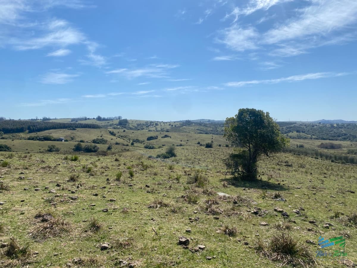 Chacras con vistas Únicas, Olivos, Sierras y descanso... !! Atención Precio Rebajado !!