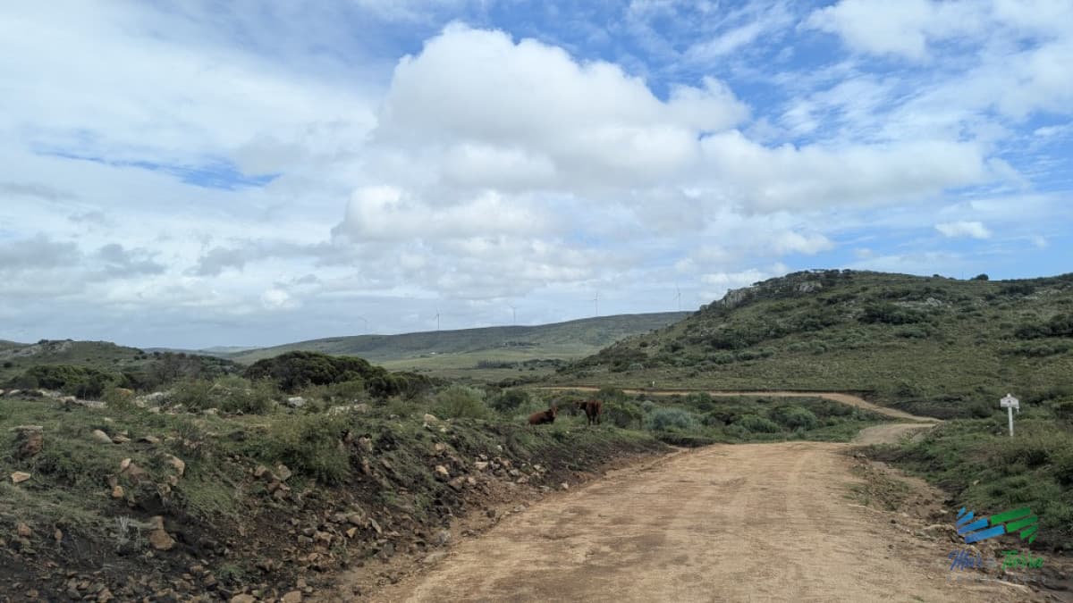 Venta en Sierra de los Caracoles 3 has Ruta 39 Maldonado