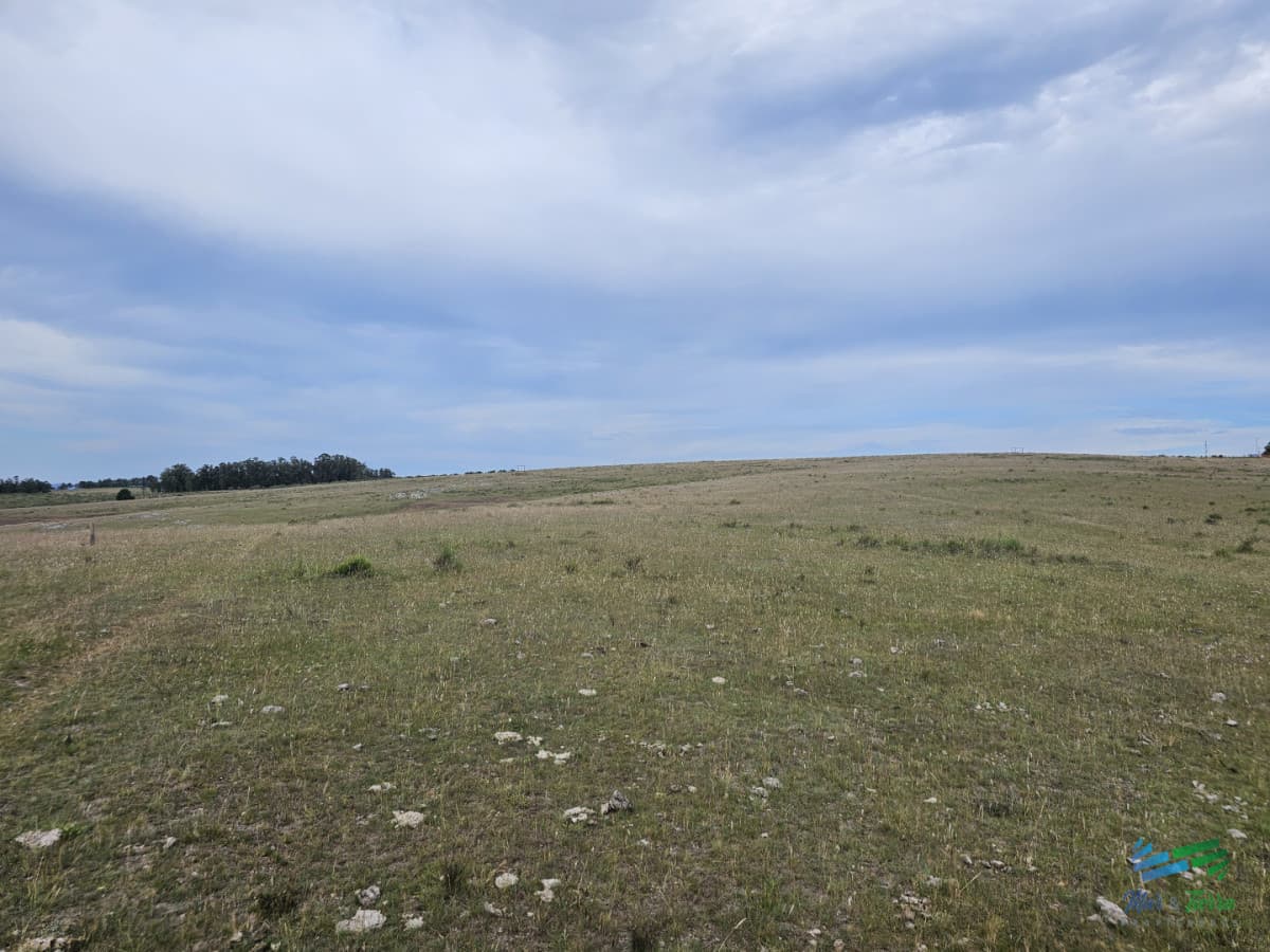 En venta chacra 3 hectareas, proxima ruta 39, a pocos km de San Carlos.
