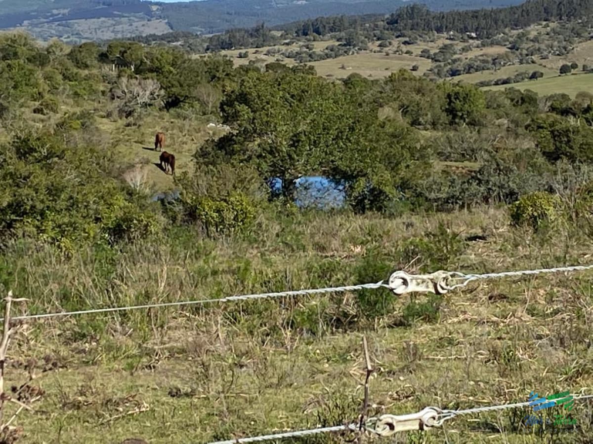 En venta, chacra con vistas panorámicas y monte nativo !!!
