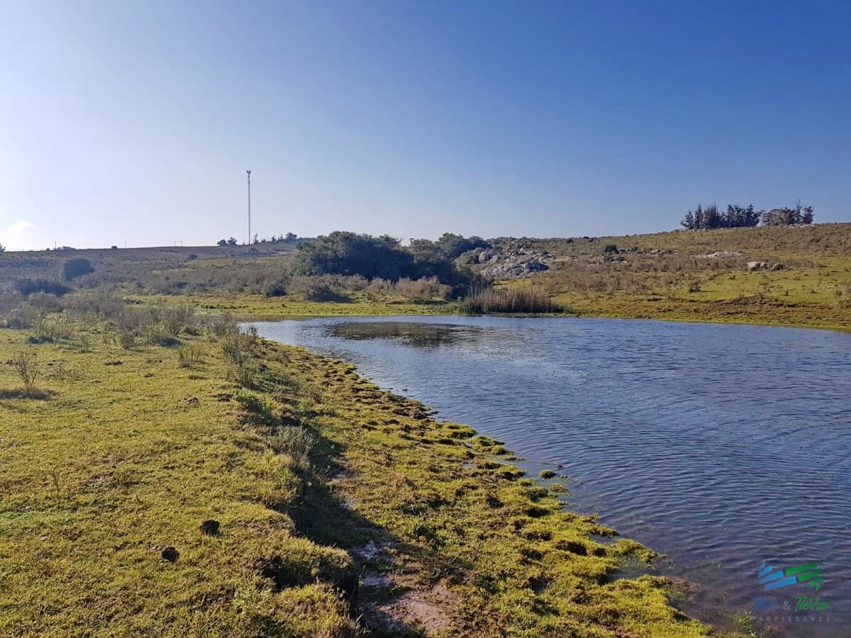 Vendo chacras en Ruta 9, entre ruta 12 y Pan de Azucar, Maldonado. FINANCIO.