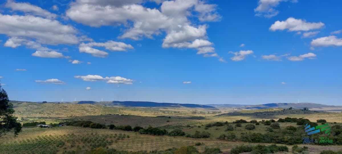 17 Has en plena Sierra de Carape, Monte Nativo y Vistas Privilegiadas