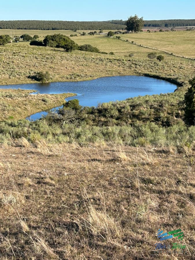 Lindo campito de Recreo o para fraccionar a 30 minutos de Punta, Monte Nativo, tajamar y muy buenas vistas !