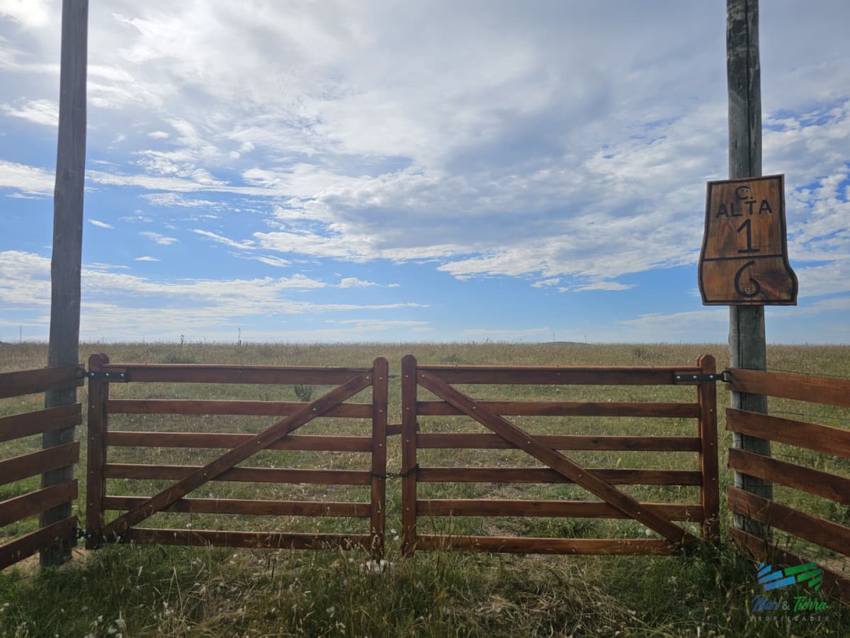 En venta chacra 3 hectareas, proxima ruta 39, a pocos km de San Carlos.