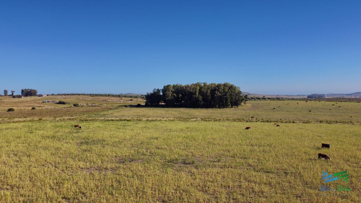Vendo chacra Ruta 9, entre ruta 12 y Pan de Azucar, Maldonado. FINANCIO.