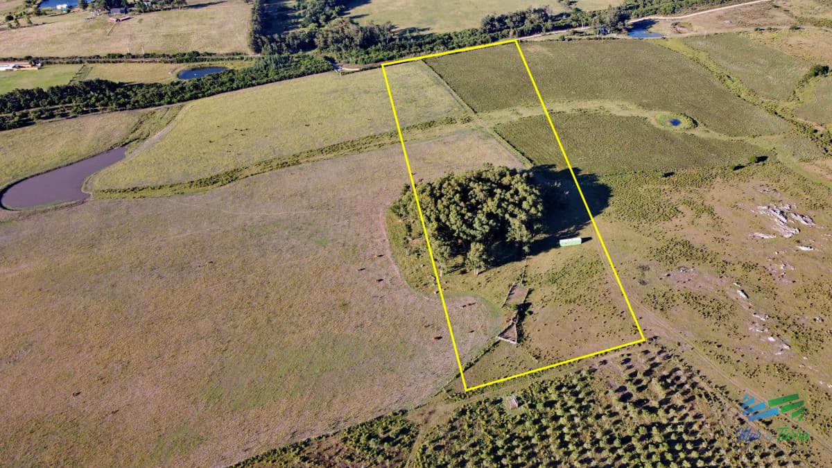 Vendo chacra Ruta 9, entre ruta 12 y Pan de Azucar, Maldonado. FINANCIO.