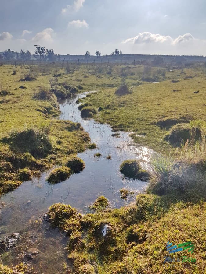 Vendo chacras en Ruta 9, entre ruta 12 y Pan de Azucar, Maldonado. FINANCIO.