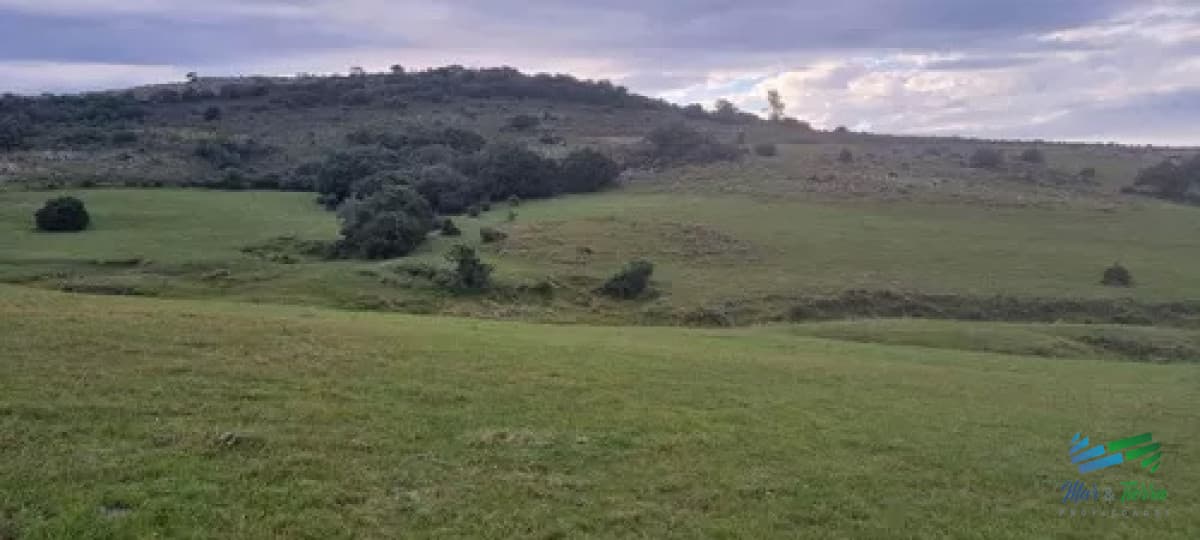 Chacra de 5 Has a 5 Kms de P. Eden, Luz en portera y buen acceso