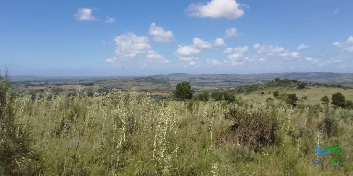 36 Has buenas vistas, aptas para fraccionar