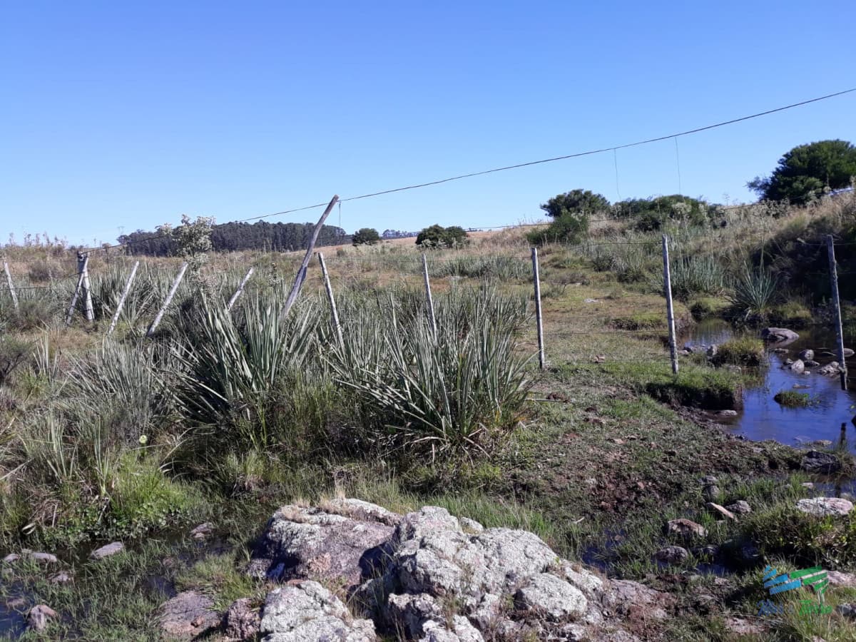 Chacra 5 Has sobre R.39 a 15 Kms de Ruta 9 y 32 de Punta del Este.