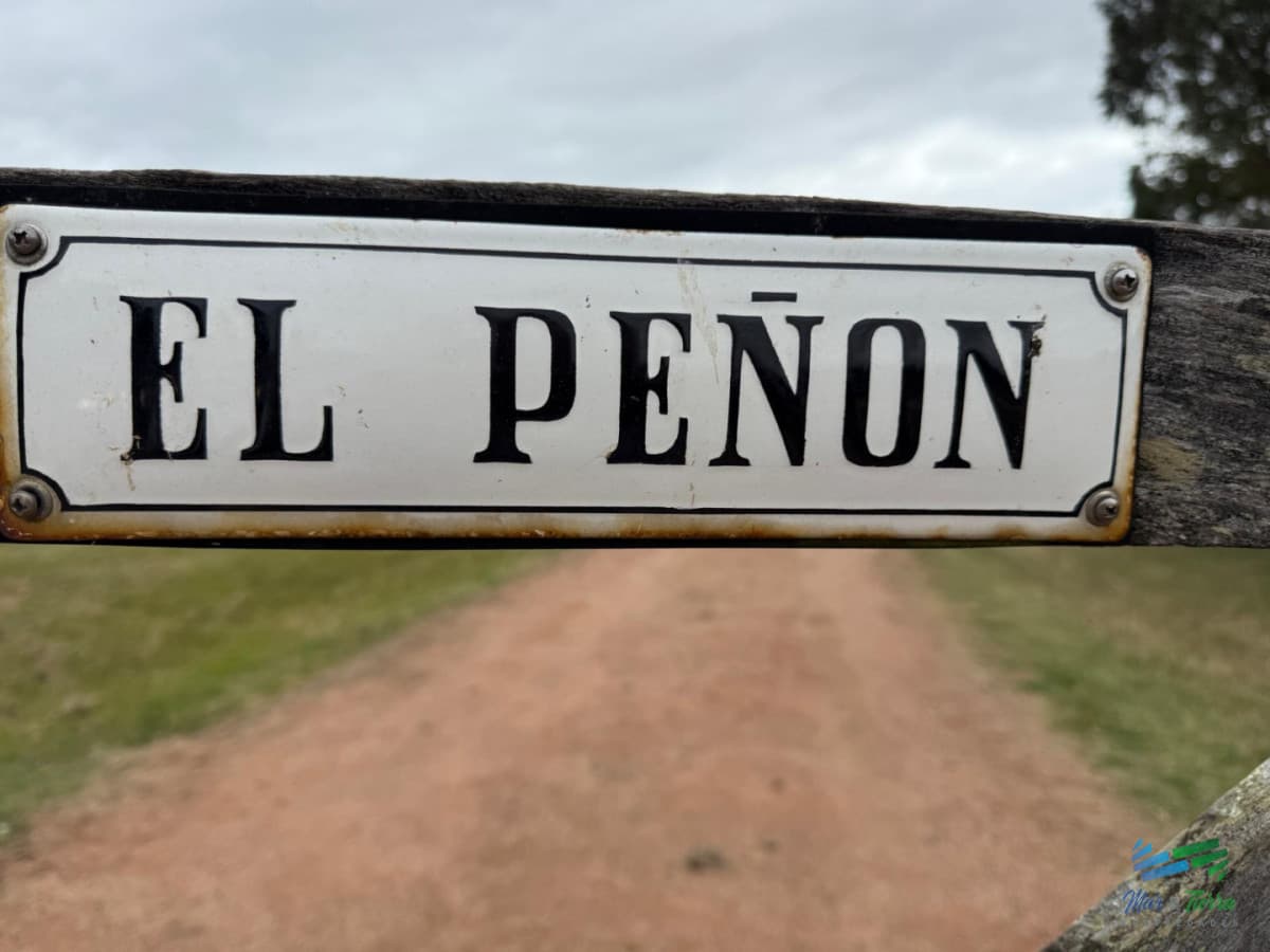 Se alquila chacra a 25 minutos de Punta del Este y con las mejores vistas de la laguna del sauce!!!