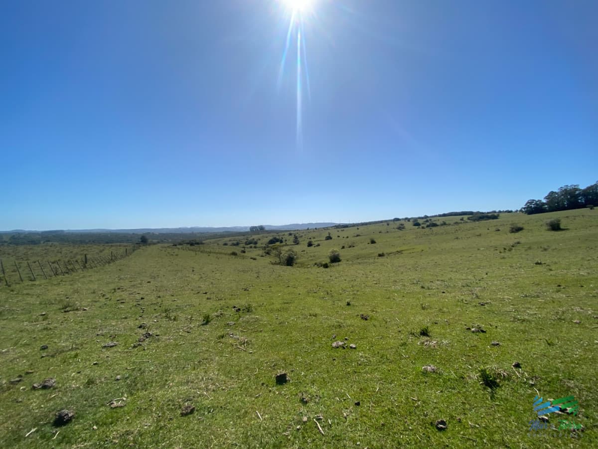 Chacras con vistas Únicas, Olivos, Sierras y descanso... !! Atención Precio Rebajado !!