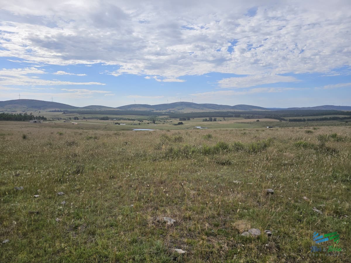 En venta chacra 3 hectareas, proxima ruta 39, a pocos km de San Carlos.