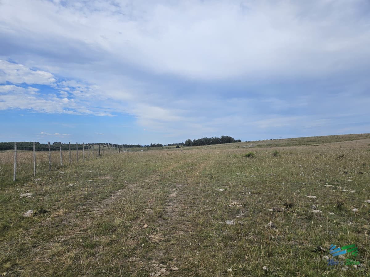 En venta chacra 3 hectareas, proxima ruta 39, a pocos km de San Carlos.