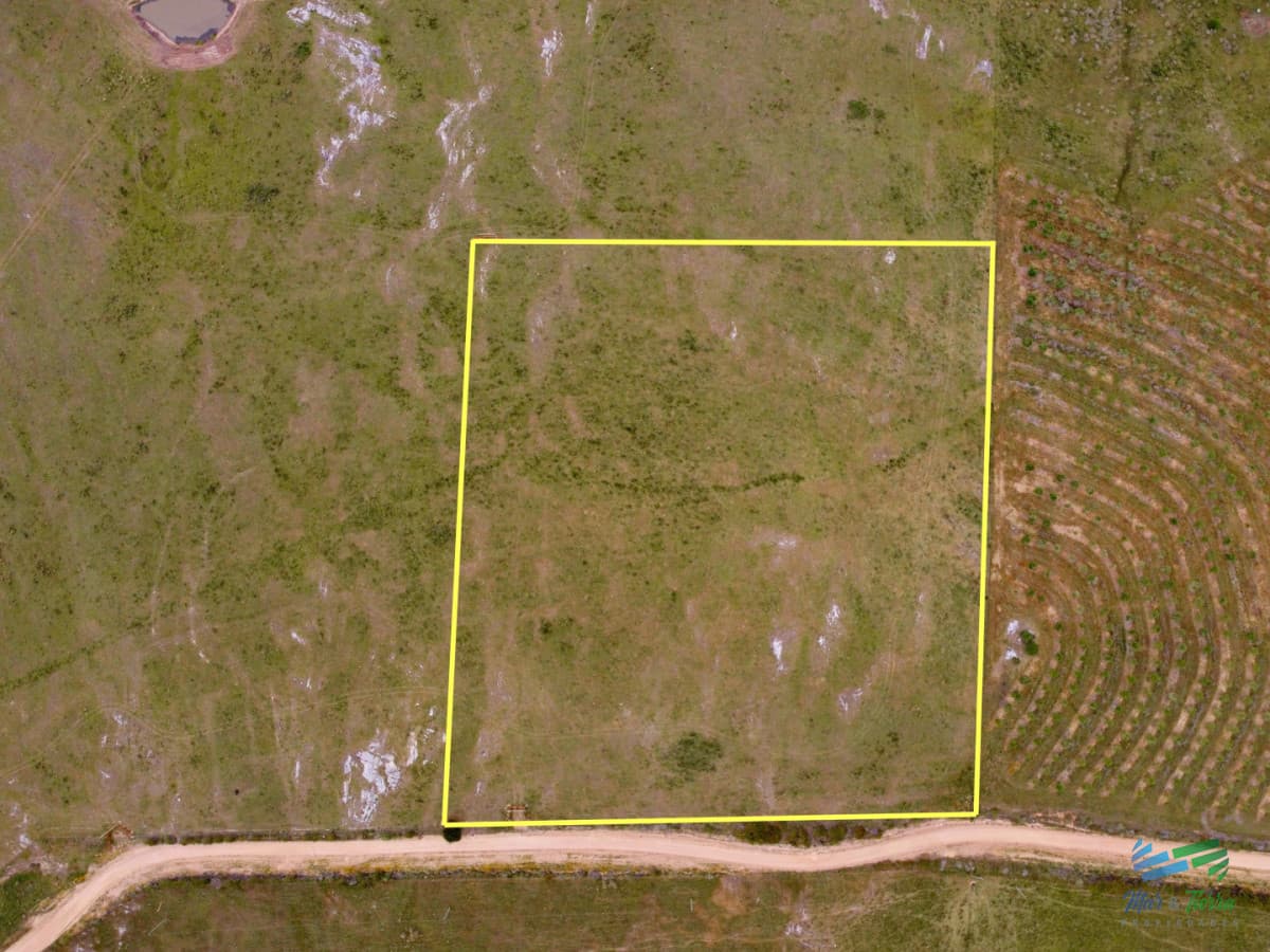 En venta chacra 3 hectareas, proxima ruta 39, a pocos km de San Carlos.