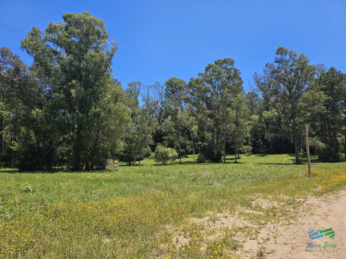 En venta chacra de 1 hectarea en Laguna del Diario, Punta del Este