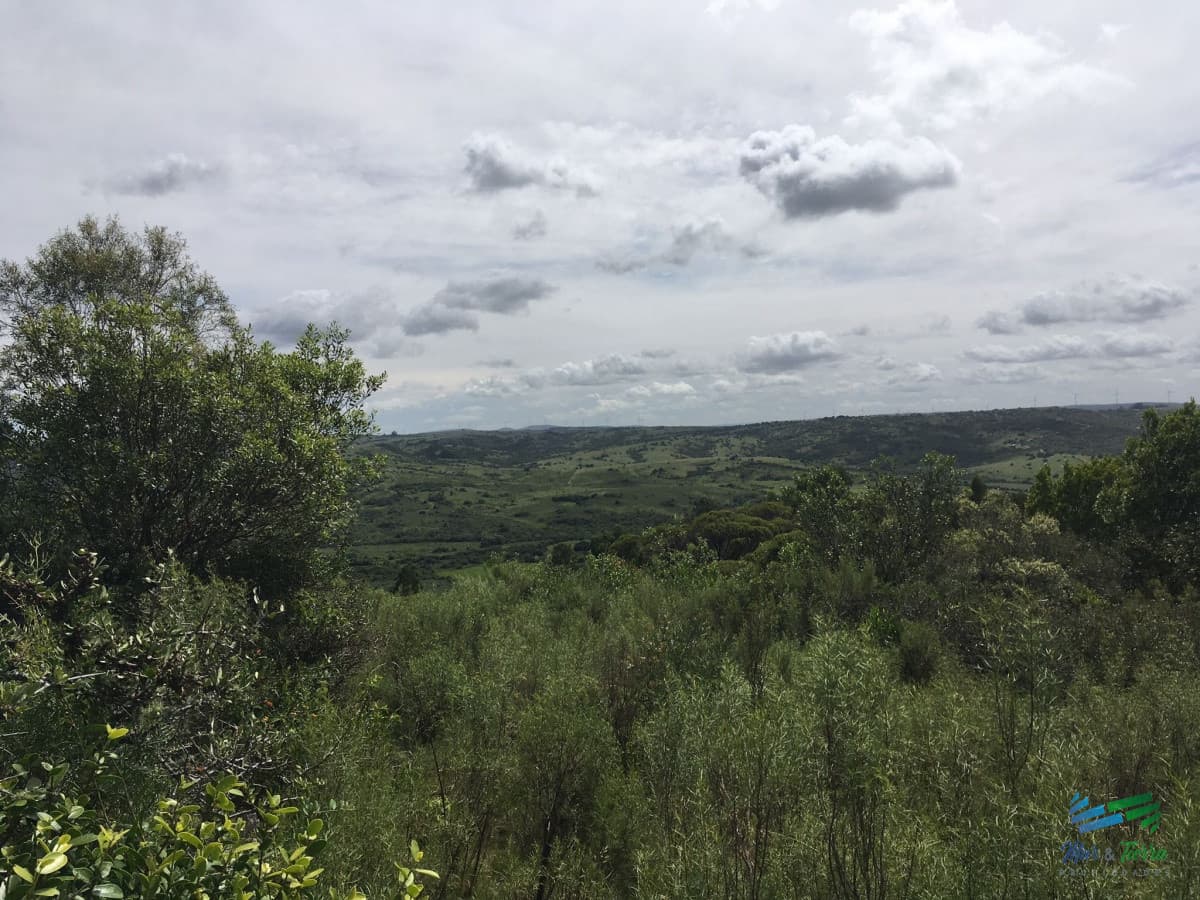 Chacras con vistas increibles, monte nativo, naturaleza y tranquilidad