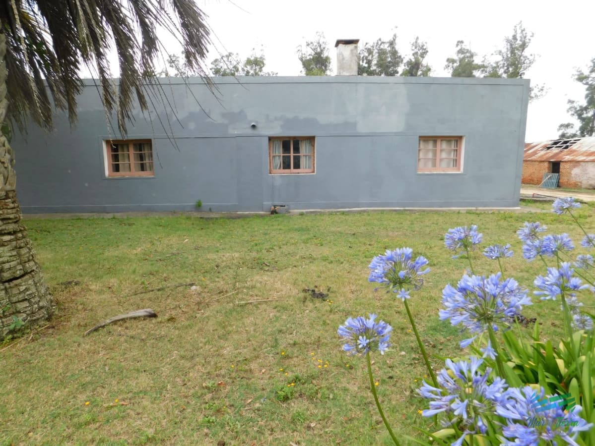 31 Has con casa R.9 (frente entrada Garzon)