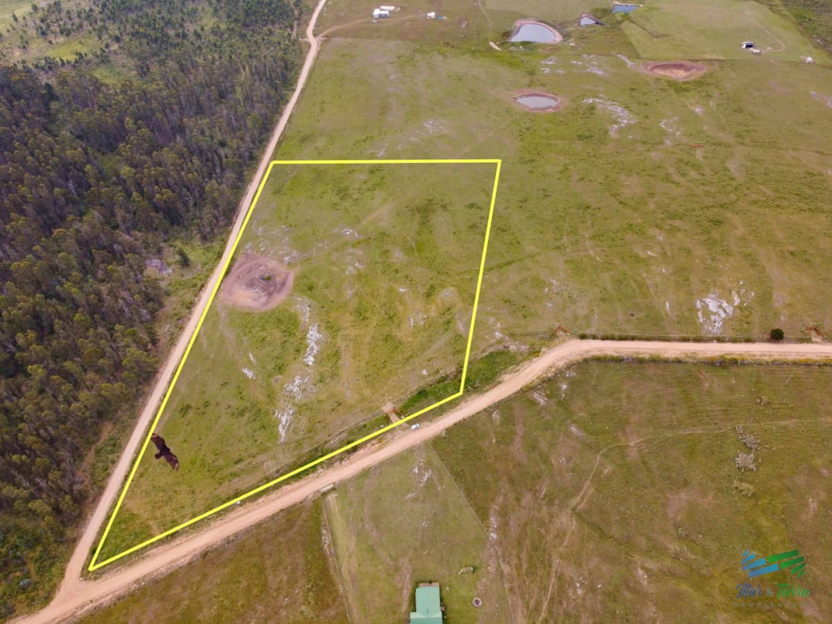 En venta chacra 3,5 hectareas, proxima ruta 39, a pocos km de San Carlos.