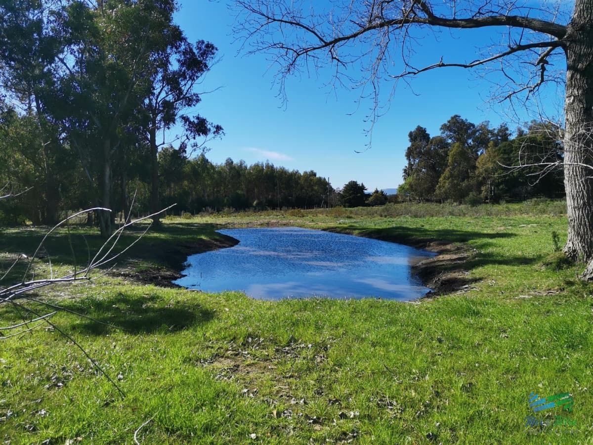 En venta chacra de 6 hectareas con casa a 1 hora de Montevideo y 10 minutos del mar.