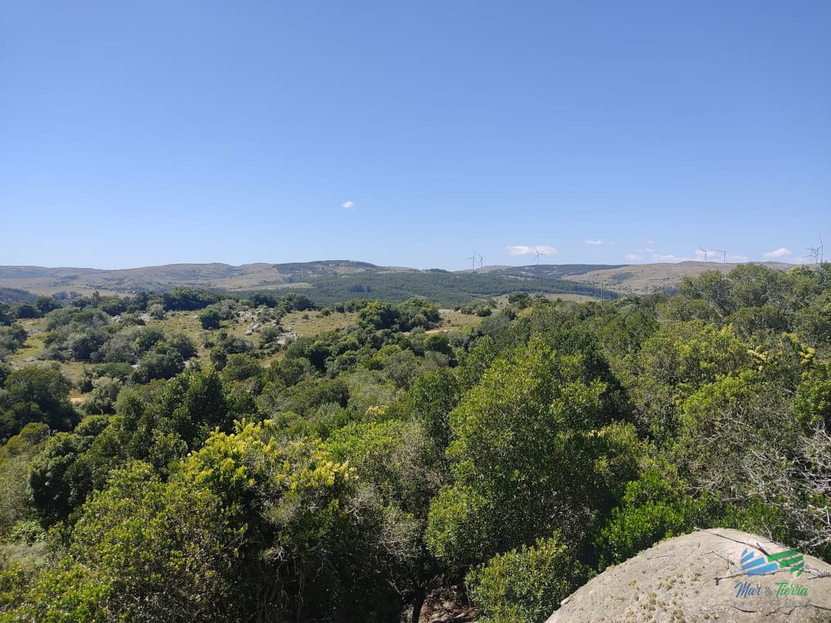 Preciosa Chacra en el punto mas alto del pais